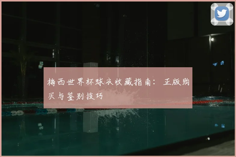 梅西世界杯球衣收藏指南：正版购买与鉴别技巧